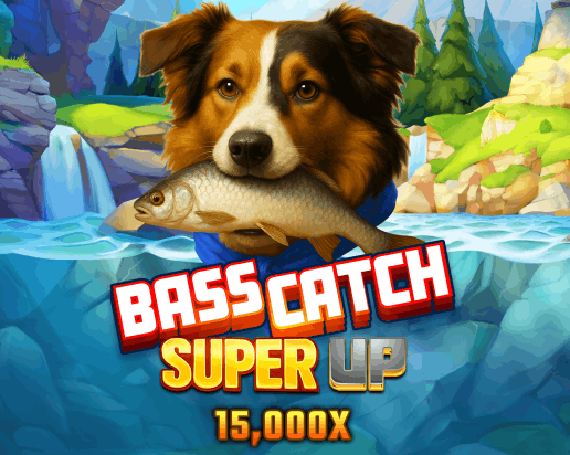 pp image