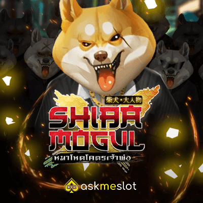 Shiba Mogul