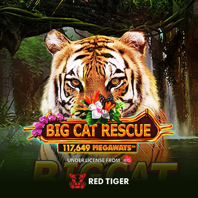 Big Cat Rescue Megaways