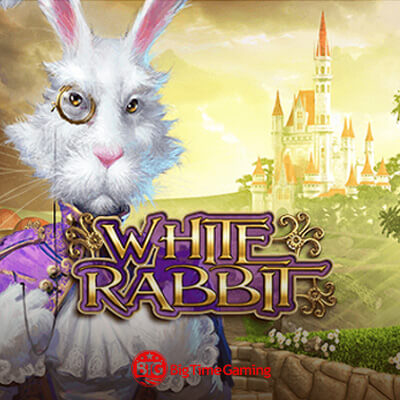 White Rabbit