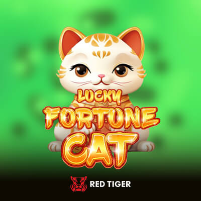 Lucky Fortune Cat