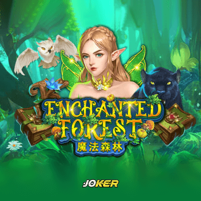 Enchanted Forest