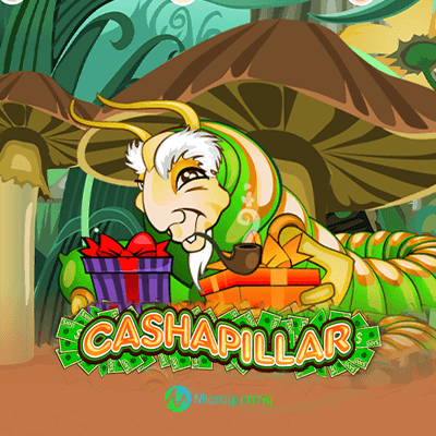 Cashapillar