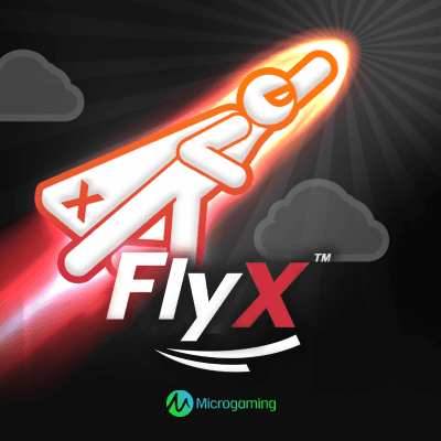 FlyX
