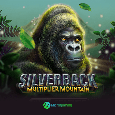 Silverback Multiplier Mountain