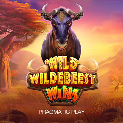 Wild Wildebeest Wins