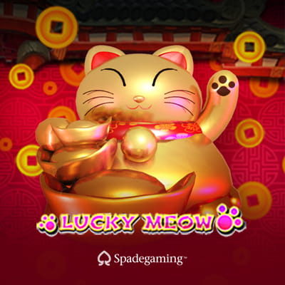 Lucky Meow