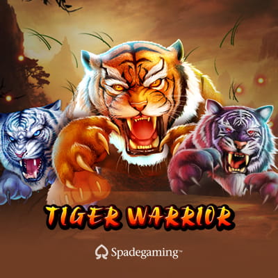 Tiger Warrior