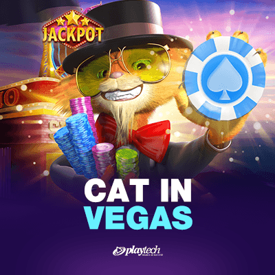 Cat in Vegas