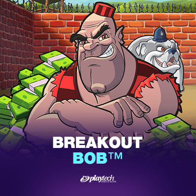 Breakout Bob