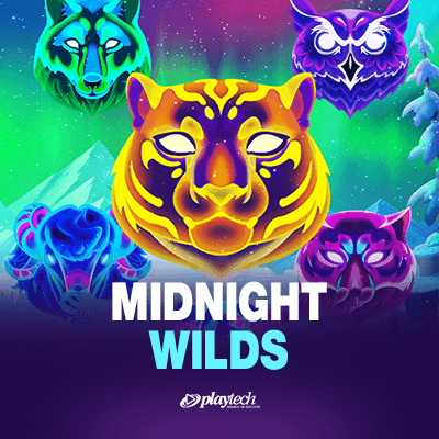 Midnight Wilds