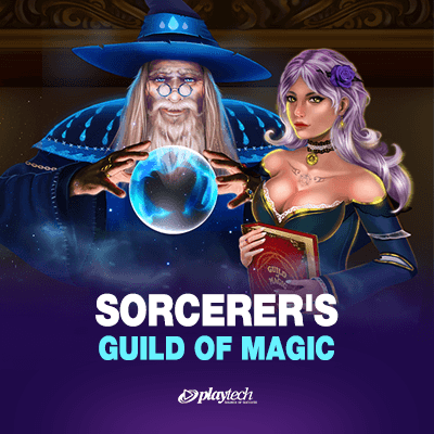 Sorcerer's Guild of Magic
