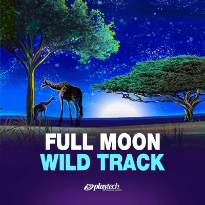 Full Moon: Wild Track
