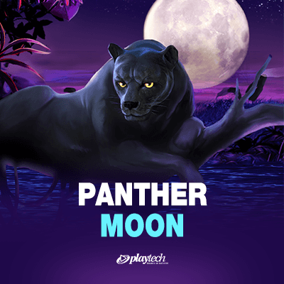 Panther Moon